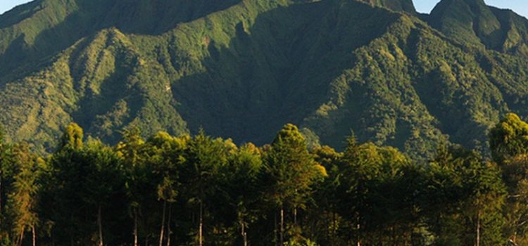 Volcanoes-National-Park