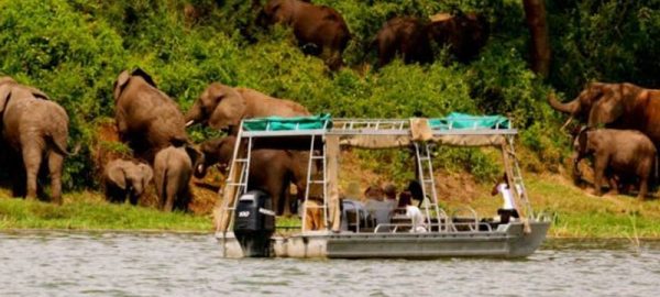 queen-elizabeth-national-park
