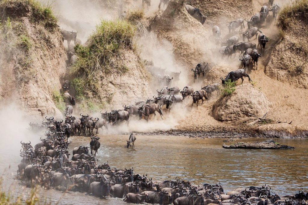 Masai Mara