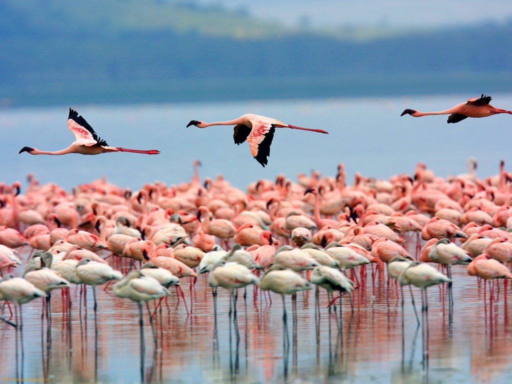 Lake Turkana